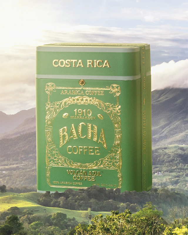 Volcán Azul Coffee - Whole Beans | Bacha Coffee